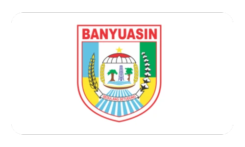 Website Banyuasin
